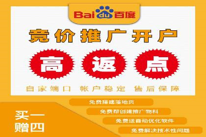 某电商平台的SEM推广实践与效果展示